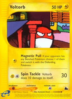 Voltorb 113/144 — Skyridge