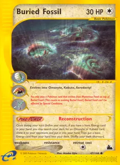 Buried Fossil 47/144 — Skyridge