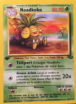Noadkoko 35/64 — Jungle