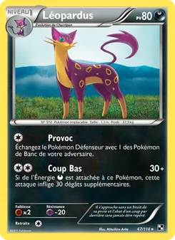 Léopardus 67/114 — Black & White