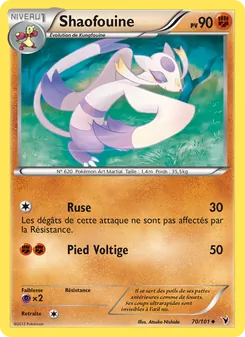 Shaofouine 70/101 — Noble Victories