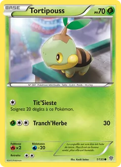 Tortipouss 1/135 — Plasma Storm