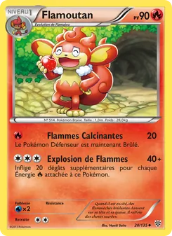 Flamoutan 20/135 — Plasma Storm