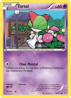 Tarsal 59/135 — Plasma Storm