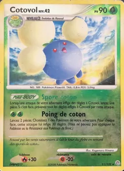 Cotovol 11/132 — Secret Wonders