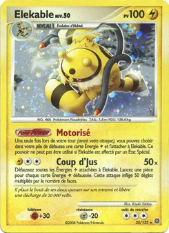 Élekable 25/132 — Secret Wonders