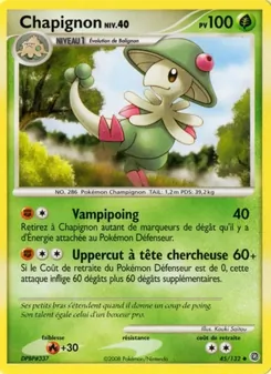 Chapignon 45/132 — Secret Wonders