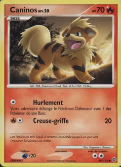 Caninos 89/132 — Secret Wonders
