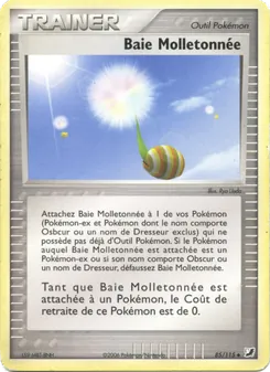 Baie Molletonnée 85/115 — Unseen Forces / Unseen Forces Unown Collection