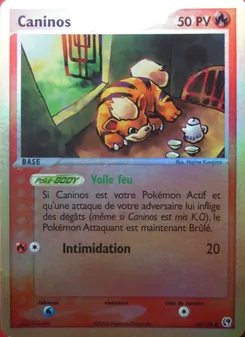 Caninos 65/100 — Sandstorm