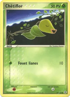 Chétiflor 53/112 — FireRed & LeafGreen