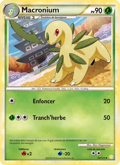 Macronium 35/123 — HeartGold SoulSilver