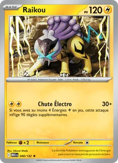 Raikou 048/132 — Mega Evolution