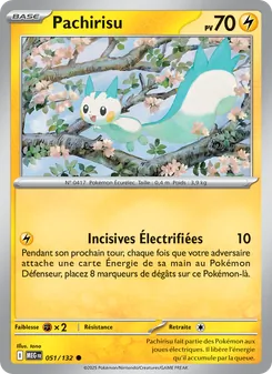 Pachirisu 051/132 — Mega Evolution