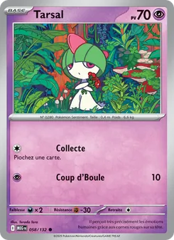 Tarsal 058/132 — Mega Evolution