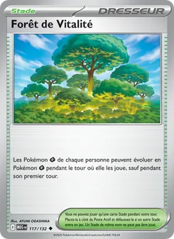 Forêt de Vitalité 117/132 — Mega Evolution