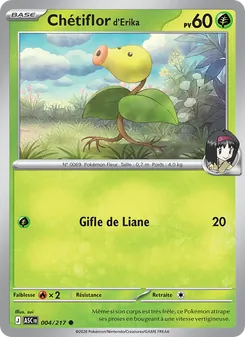 Chétiflor d'Erika 004/217 — Ascended Heroes