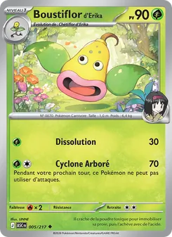 Boustiflor d'Erika 005/217 — Ascended Heroes