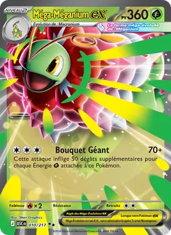 Méga-Méganium-ex 010/217 — Ascended Heroes