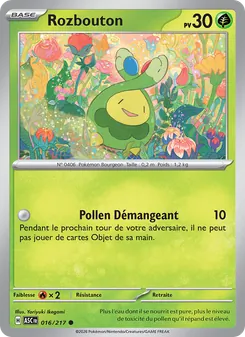 Rozbouton 016/217 — Ascended Heroes