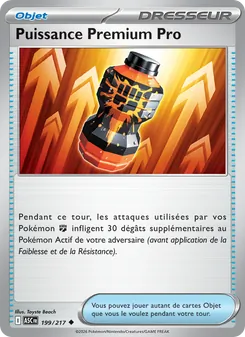 Puissance Premium Pro 199/217 — Ascended Heroes