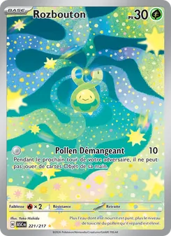 Rozbouton 221/217 — Ascended Heroes