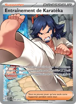 Entraînement de Karatéka 255/217 — Ascended Heroes