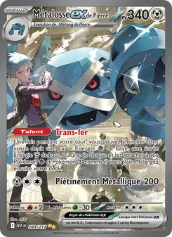 Métalosse-ex de Pierre 289/217 — Ascended Heroes