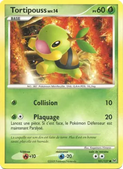 Tortipouss 101/127 — Platinum