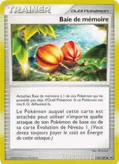 Baie de mémoire 110/127 — Platinum