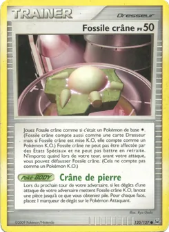 Fossile Crâne 120/127 — Platinum