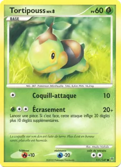 Tortipouss 131/147 — Supreme Victors