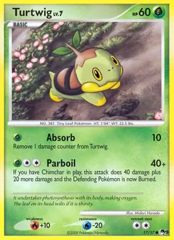 Tortipouss 17/17 — POP Series 9