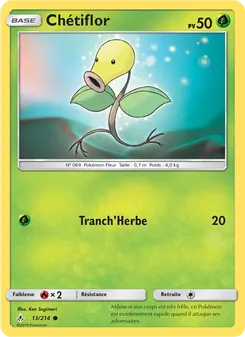 Chétiflor 13/214 — Unbroken Bonds