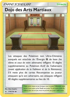 Dojo des Arts Martiaux 179/214 — Unbroken Bonds
