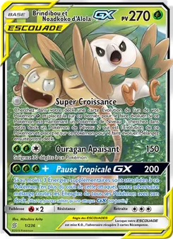 Brindibou et Noadkoko d’Alola GX 1/236 — Unified Minds