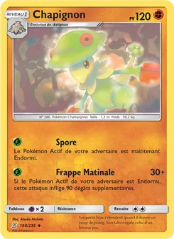 Chapignon 108/236 — Unified Minds