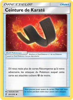 Ceinture de Karaté 201/236 — Unified Minds