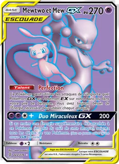 Mewtwo et Mew GX 222/236 — Unified Minds