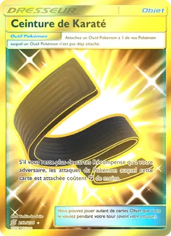 Ceinture de Karaté 252/236 — Unified Minds