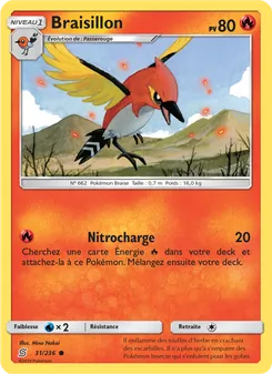 Braisillon 31/236 — Unified Minds