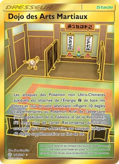Dojo des Arts Martiaux 268/236 — Cosmic Eclipse