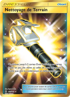 Nettoyage de Terrain 163/145 — Guardians Rising