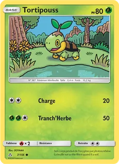 Tortipouss 7/156 — Ultra Prism