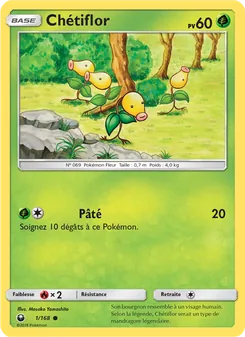 Chétiflor 1/168 — Celestial Storm