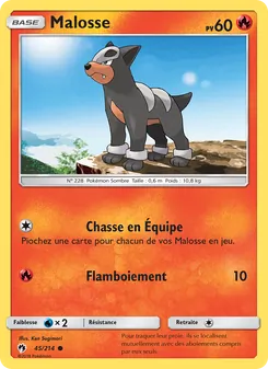 Malosse 45/214 — Lost Thunder