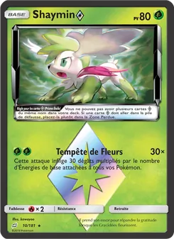 Shaymin ◇ 10/181 — Team Up