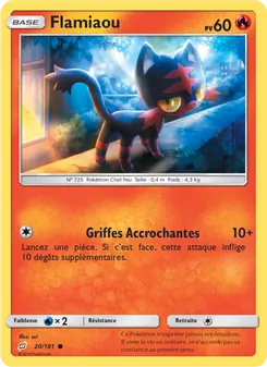 Flamiaou 20/181 — Team Up
