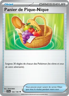 Panier de Pique-Nique 184/198 — Scarlet & Violet