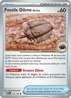 Fossile Dôme Ancien 152/165 — 151